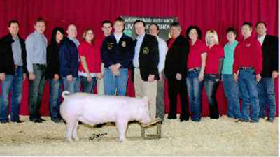 Ifft Winners